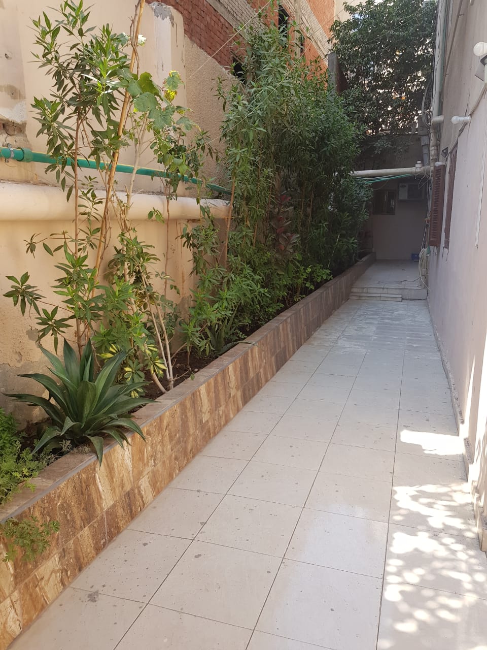 صورة العقار 16