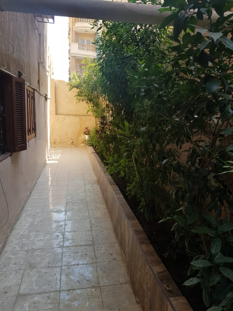 صورة العقار 14