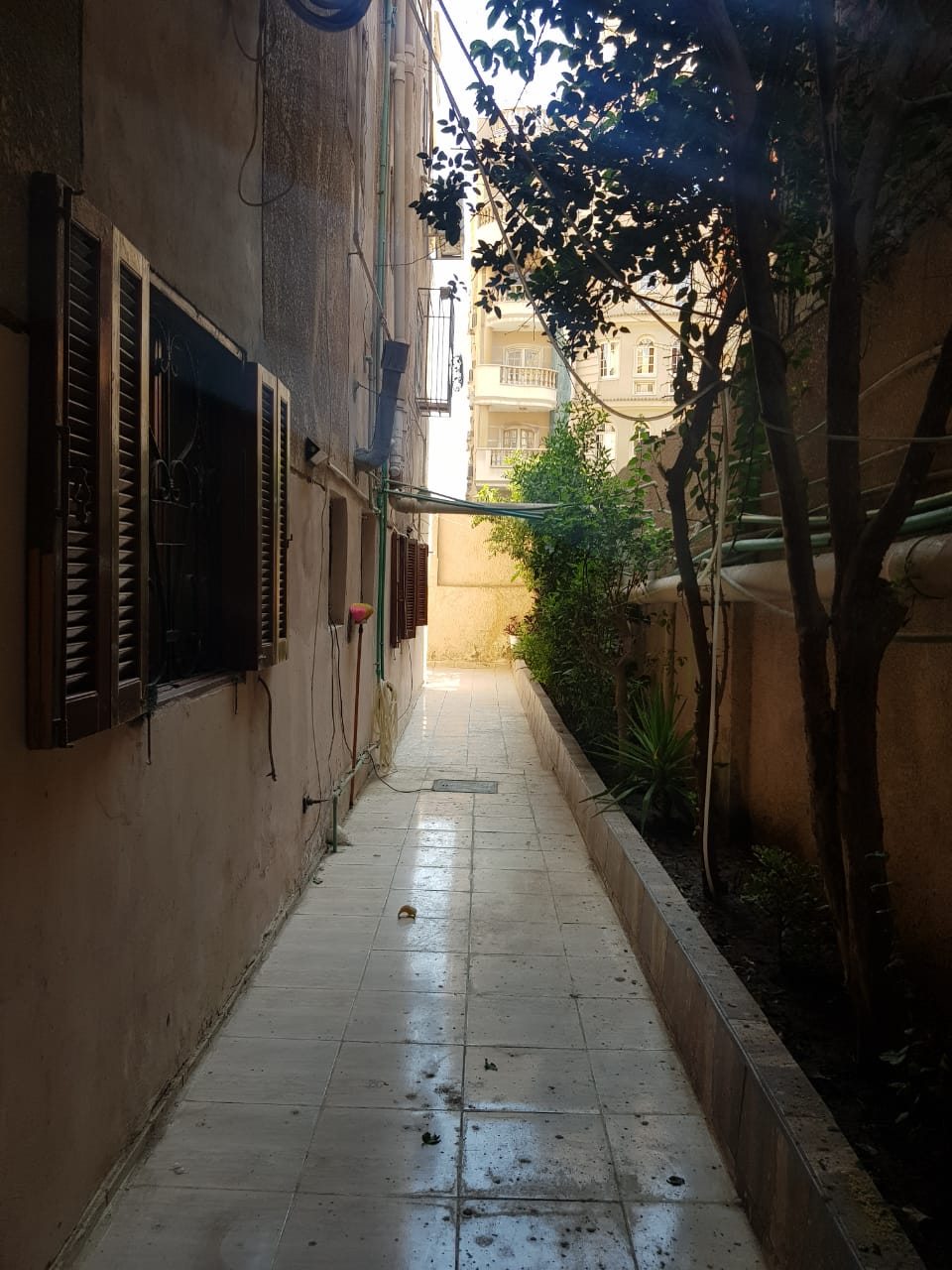 صورة العقار 6
